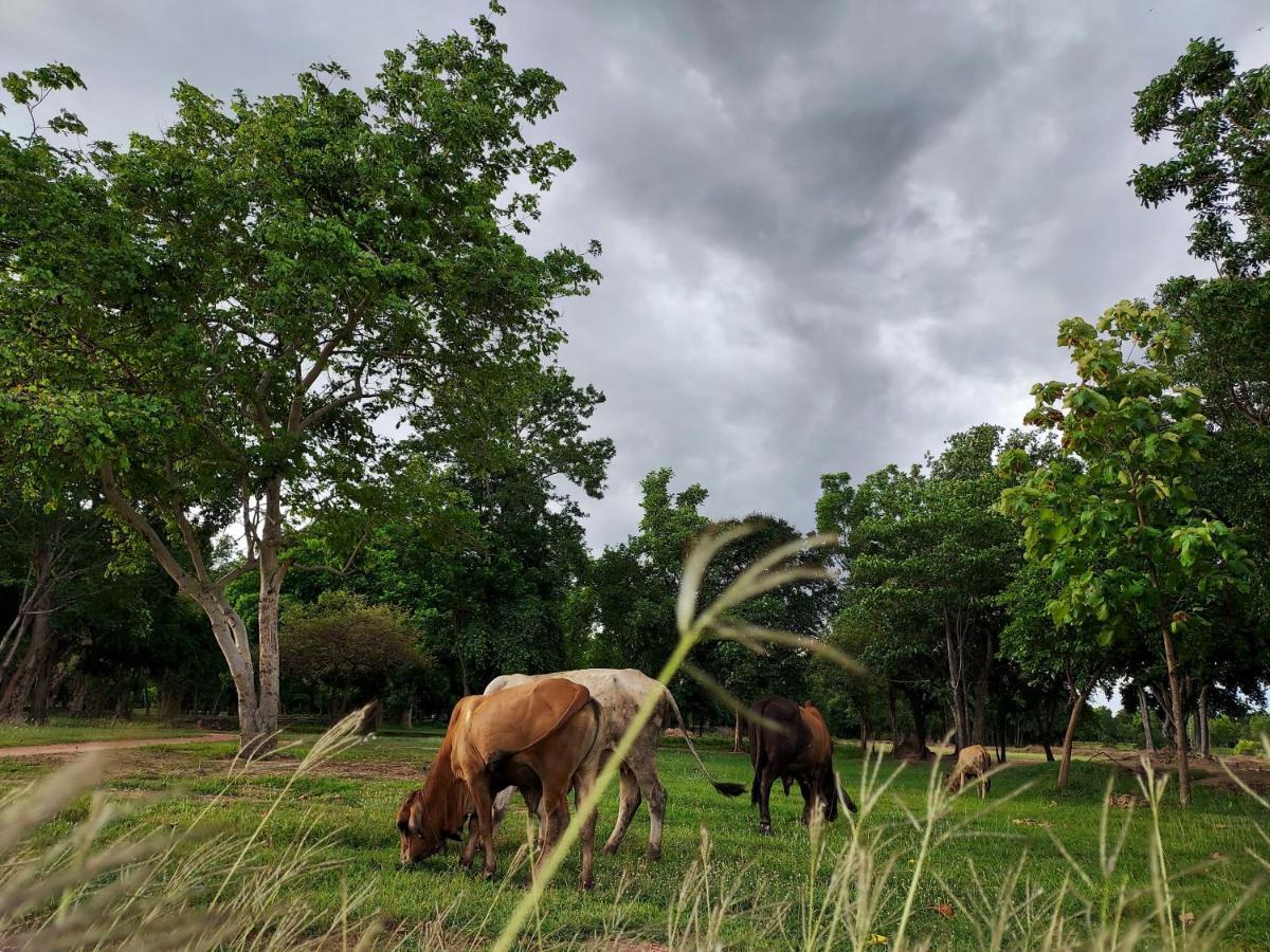 Naracha Resort Mueang Kao Exteriér fotografie