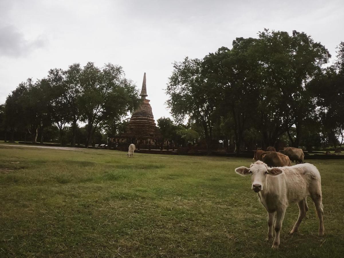 Naracha Resort Mueang Kao Exteriér fotografie
