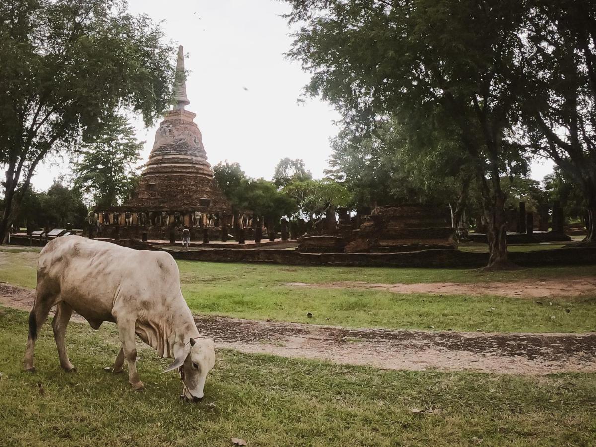 Naracha Resort Mueang Kao Exteriér fotografie